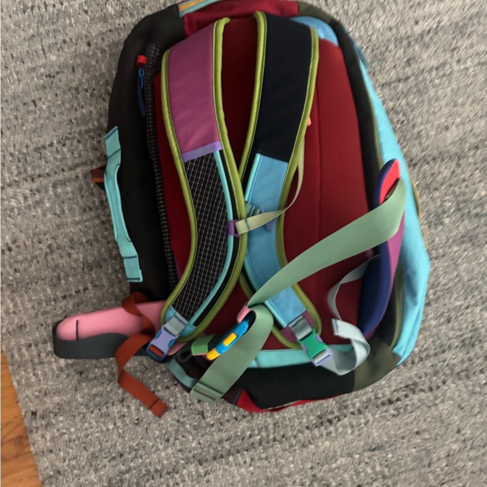 Cotopaxi Del Dio Multicolor Backpack - image 2